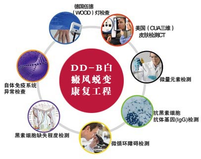 DD-B白癜风蜕变康复工程的七大检测系统