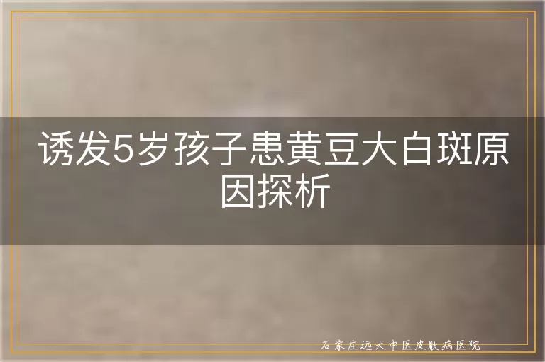 诱发5岁孩子患黄豆大白斑原因探析