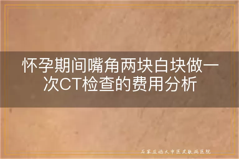 怀孕期间嘴角两块白块做一次CT检查的费用分析